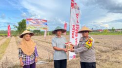 Sinergi Polisi dan Petani di Aimas, Jagung Jadi Andalan Ketahanan Pangan