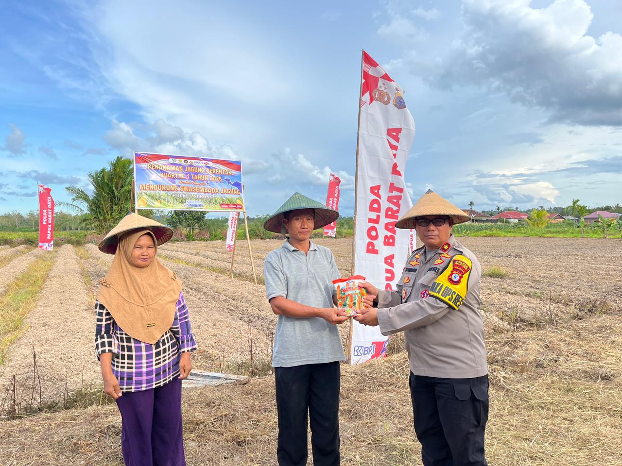 Sinergi Polisi dan Petani di Aimas, Jagung Jadi Andalan Ketahanan Pangan